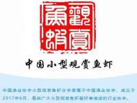 江苏九福生物科技有限公司